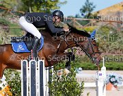 Minardi Gipsy Boy GioCav2013 S5 1956 : Campionati Italiani Giovani Cavalli, Cattolica, Gipsy Boy, Minardi Claudio, ph Stefano Secchi ©